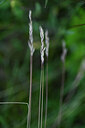BUITEN BEELD Foto: 435395