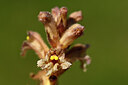 BUITEN BEELD Foto: 435396