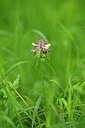BUITEN BEELD Foto: 435397