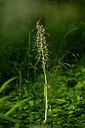 BUITEN BEELD Foto: 435400