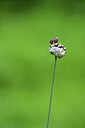 BUITEN BEELD Foto: 435401