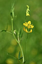 BUITEN BEELD Foto: 435402