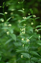 BUITEN BEELD Foto: 435406