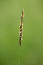 BUITEN BEELD Foto: 435408
