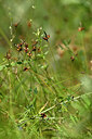 BUITEN BEELD Foto: 435409