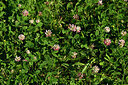 BUITEN BEELD Foto: 435412