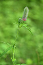 BUITEN BEELD Foto: 435414