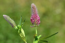 BUITEN BEELD Foto: 435417