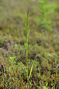 BUITEN BEELD Foto: 435418