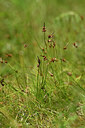 BUITEN BEELD Foto: 435421