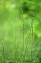 BUITEN BEELD Foto: 435428