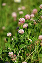 BUITEN BEELD Foto: 435433