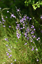 BUITEN BEELD Foto: 435434