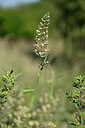 BUITEN BEELD Foto: 435437