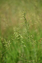 BUITEN BEELD Foto: 435439