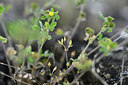 BUITEN BEELD Foto: 435443