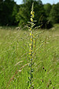 BUITEN BEELD Foto: 435451