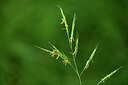 BUITEN BEELD Foto: 435457