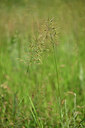 BUITEN BEELD Foto: 435465