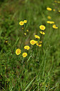 BUITEN BEELD Foto: 435466