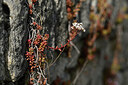 BUITEN BEELD Foto: 435467