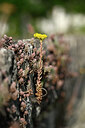 BUITEN BEELD Foto: 435470