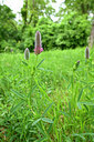 BUITEN BEELD Foto: 435472
