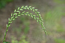 BUITEN BEELD Foto: 435473