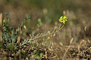 BUITEN BEELD Foto: 435485
