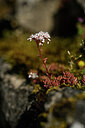 BUITEN BEELD Foto: 435492