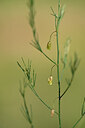 BUITEN BEELD Foto: 435494