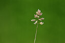BUITEN BEELD Foto: 435498