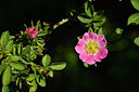 BUITEN BEELD Foto: 435501
