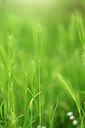 BUITEN BEELD Foto: 435502