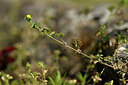 BUITEN BEELD Foto: 435505
