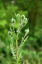 BUITEN BEELD Foto: 435506