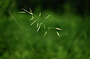 BUITEN BEELD Foto: 435512