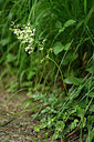 BUITEN BEELD Foto: 435515