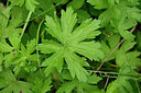 BUITEN BEELD Foto: 435518
