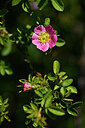 BUITEN BEELD Foto: 435522