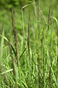 BUITEN BEELD Foto: 435525
