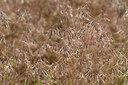 BUITEN BEELD Foto: 435528