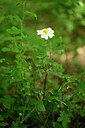BUITEN BEELD Foto: 435529