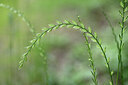 BUITEN BEELD Foto: 435532