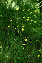BUITEN BEELD Foto: 435533