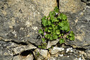 BUITEN BEELD Foto: 435534