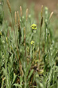 BUITEN BEELD Foto: 435537