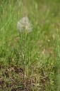 BUITEN BEELD Foto: 435540