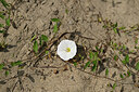 BUITEN BEELD Foto: 435546