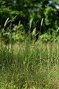 BUITEN BEELD Foto: 435547